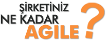Şirketiniz ne kadar Agile?