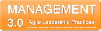 Management 3.0