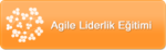 Agile Liderlik Eğitimi